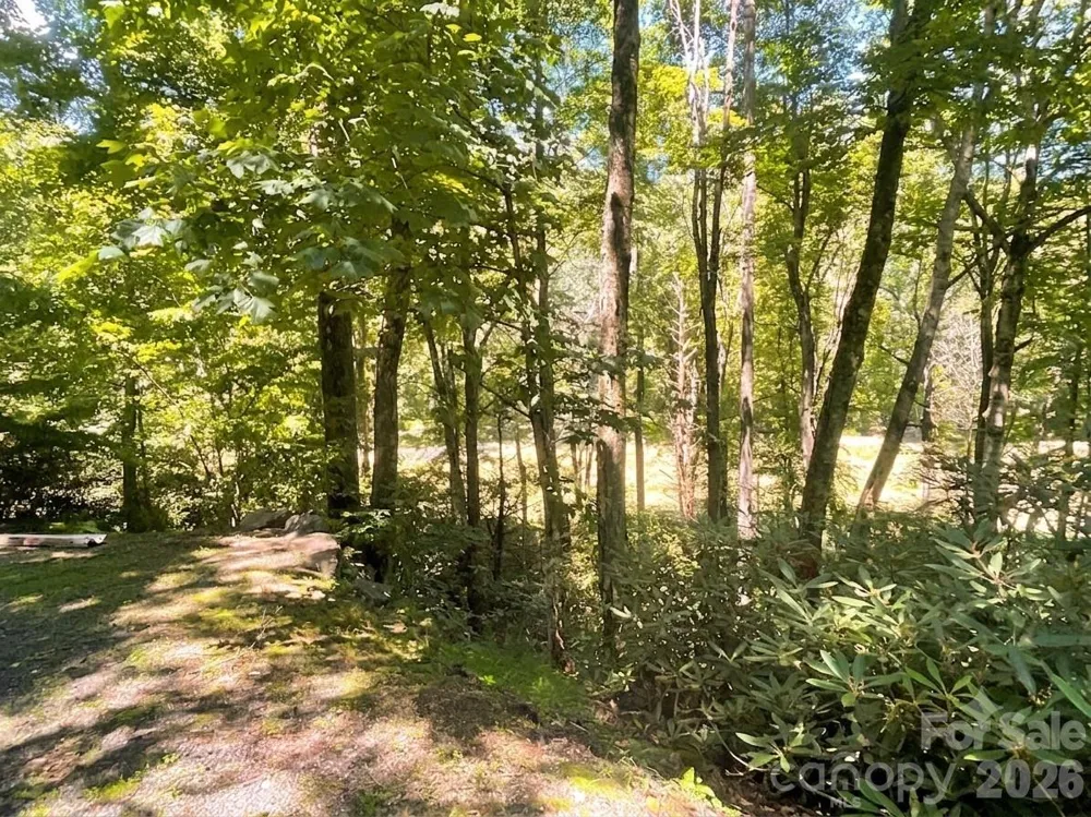 903 Winter Star Loop Burnsville, NC 28714