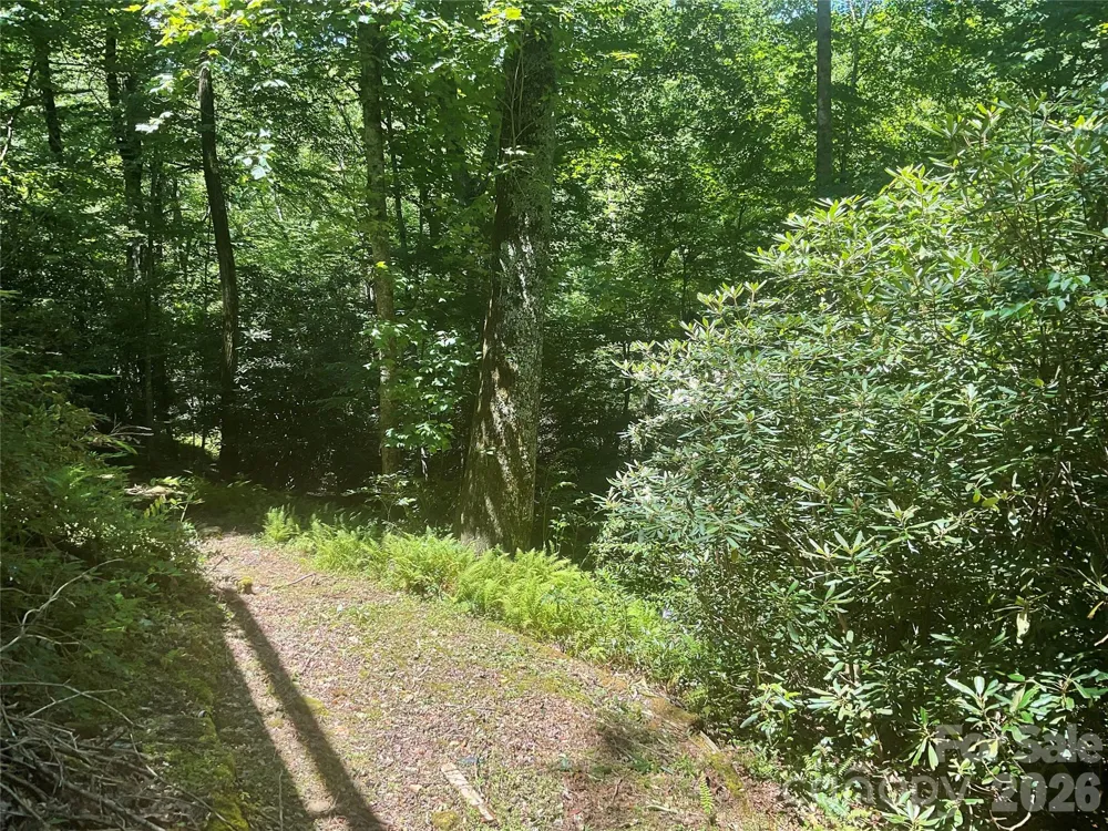 903 Winter Star Loop Burnsville, NC 28714