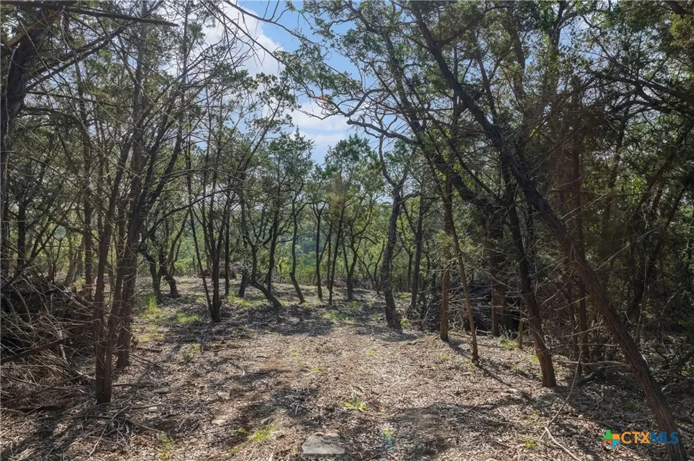 4 Mount Olive School Road Wimberley, TX 78676