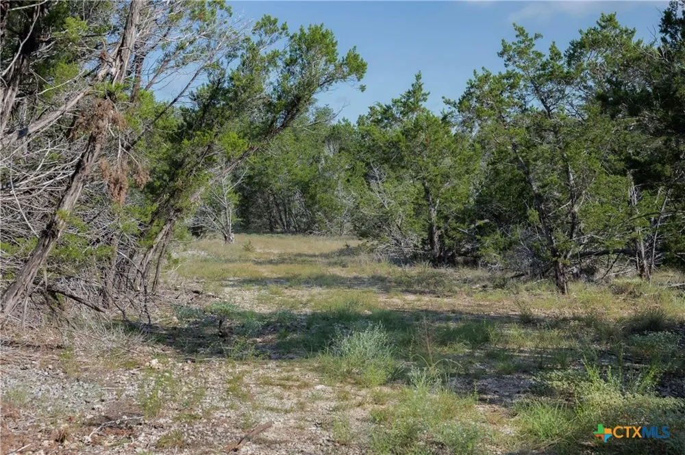 4 Mount Olive School Road Wimberley, TX 78676