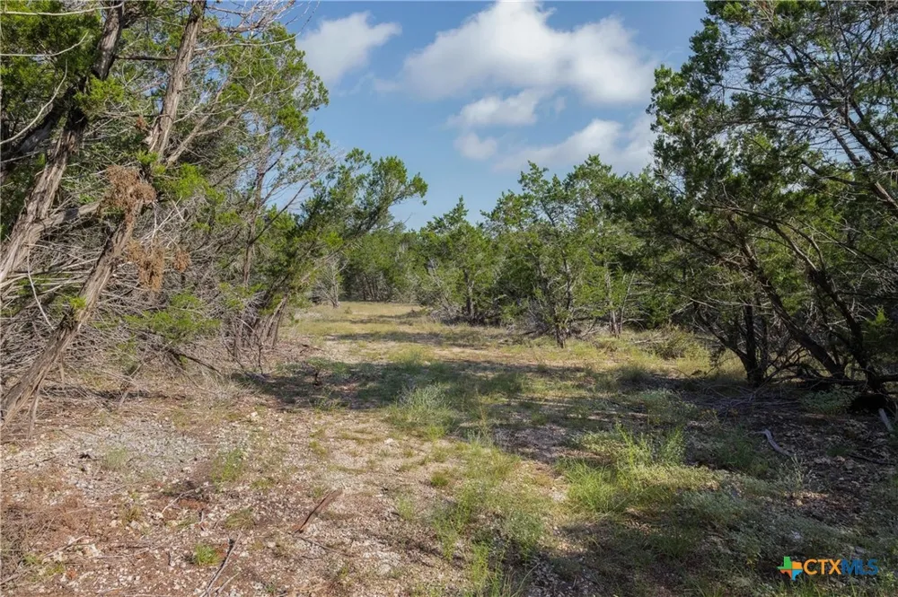 4 Mount Olive School Road Wimberley, TX 78676