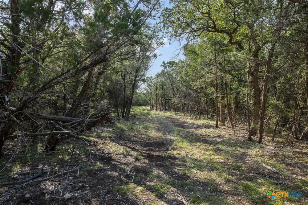 4 Mount Olive School Road Wimberley, TX 78676