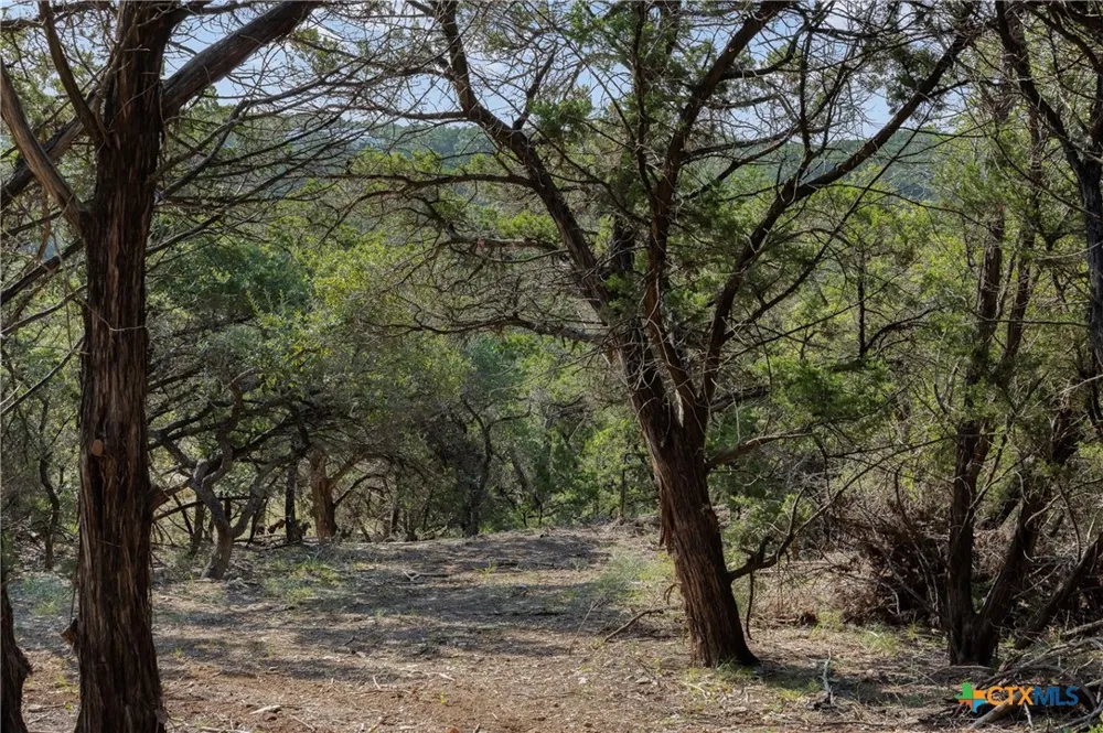 4 Mount Olive School Road Wimberley, TX 78676