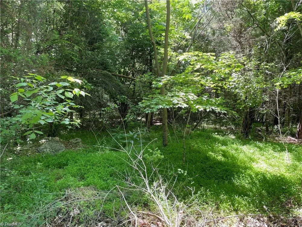 00 Thompson Road Graham, NC 27253