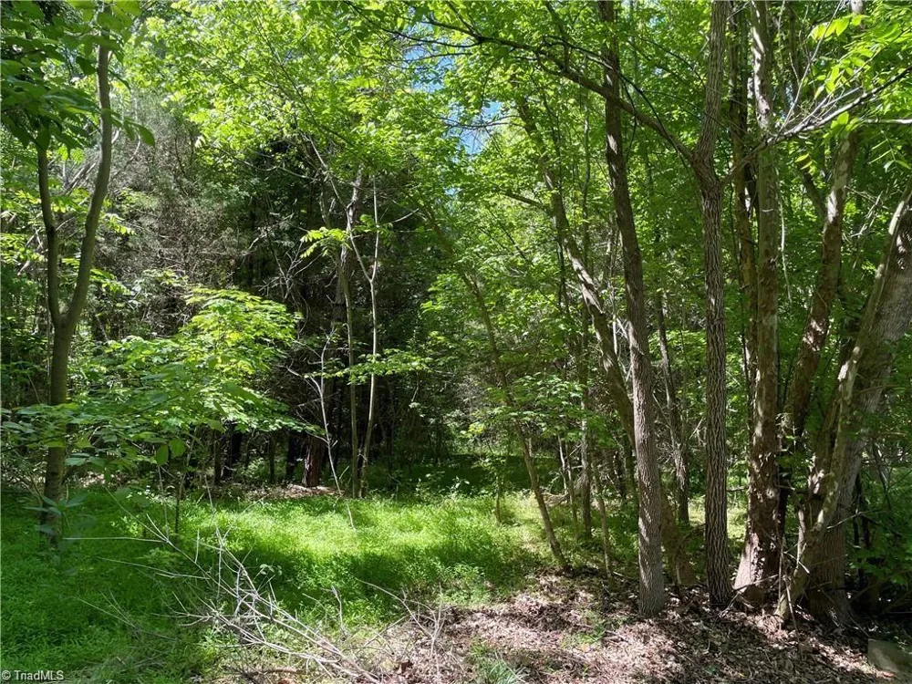 00 Thompson Road Graham, NC 27253