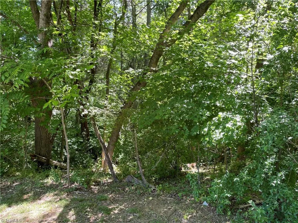 00 Thompson Road Graham, NC 27253