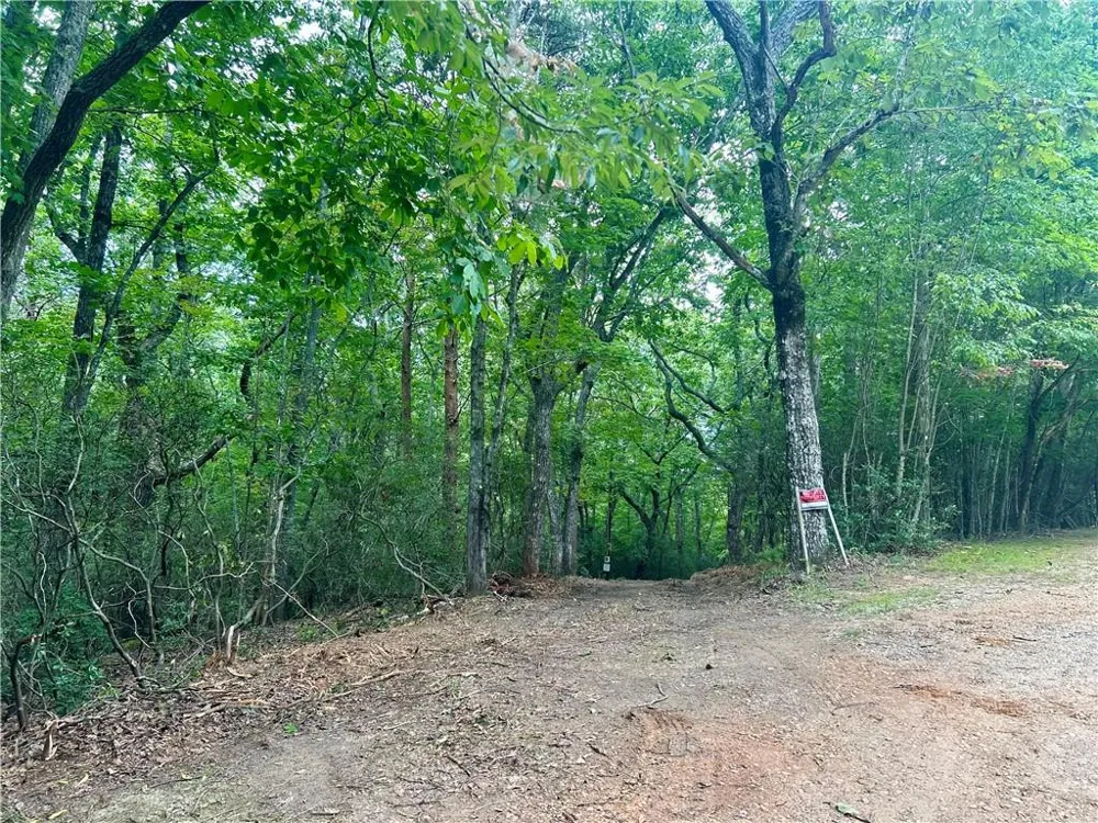 839 Wooten Road Cleveland, GA 30528