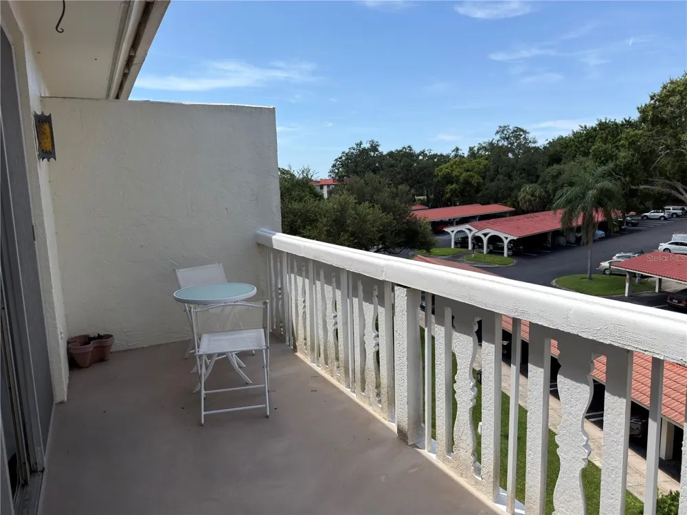 2650 PEARCE DRIVE #409 Clearwater, FL 33764