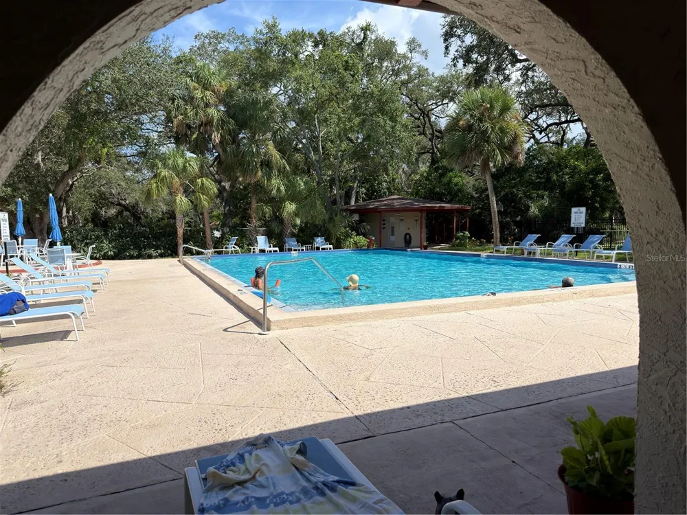 2650 PEARCE DRIVE #409 Clearwater, FL 33764