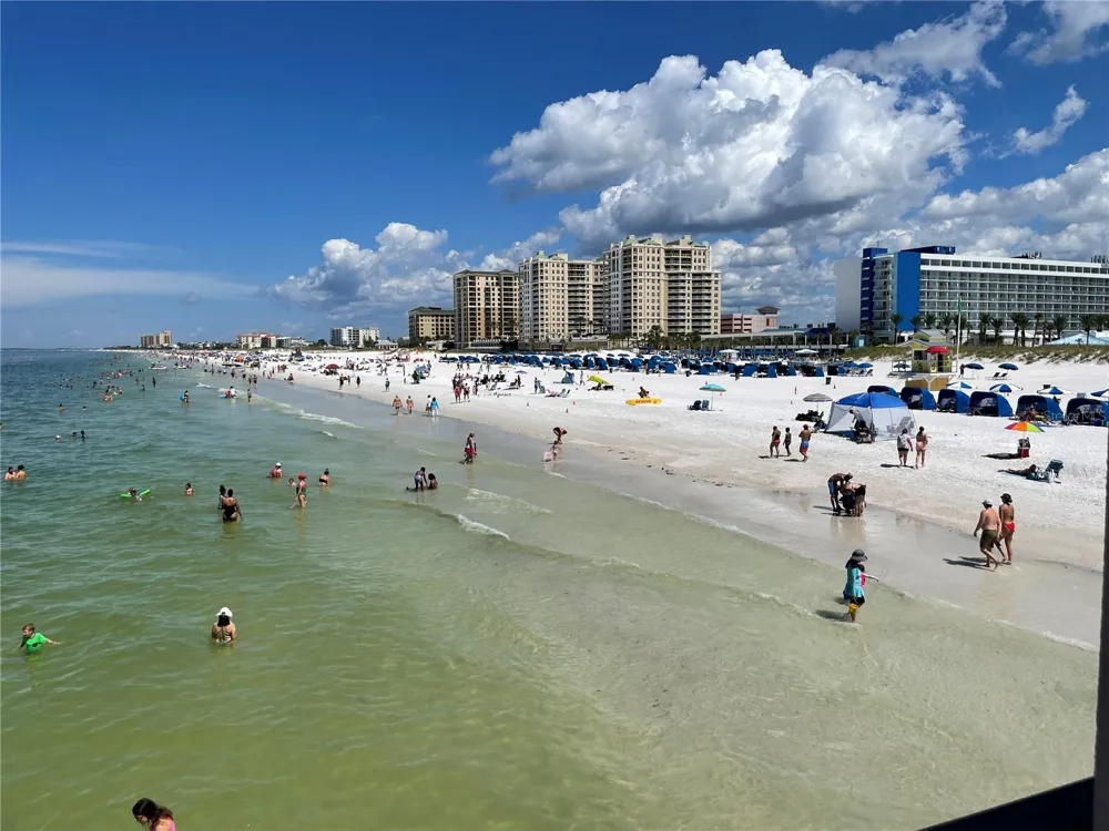 2650 PEARCE DRIVE #409 Clearwater, FL 33764