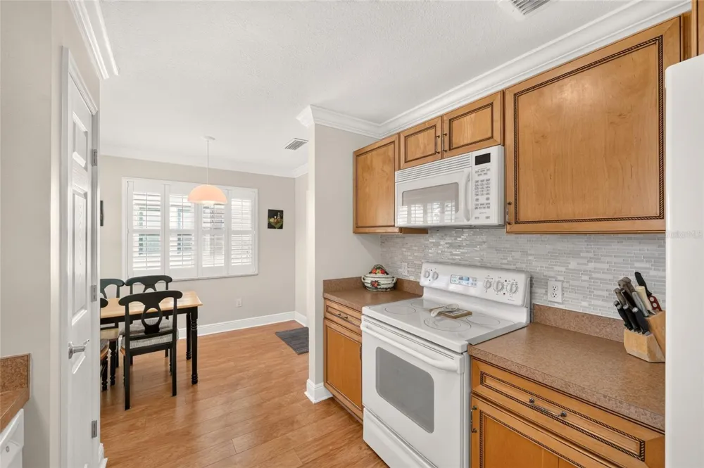 1218 SANTOS PLACE The Villages, FL 32159
