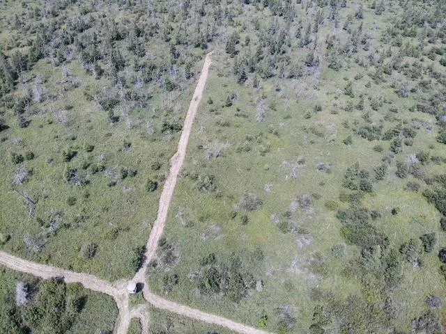 TBD 580th Street Deer Creek, MN 56527