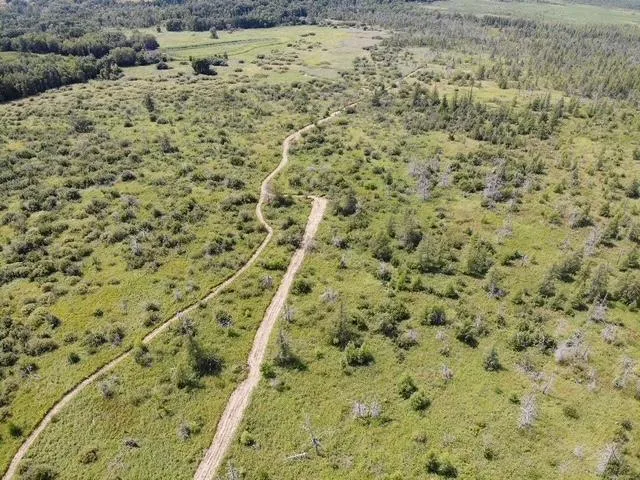TBD 580th Street Deer Creek, MN 56527