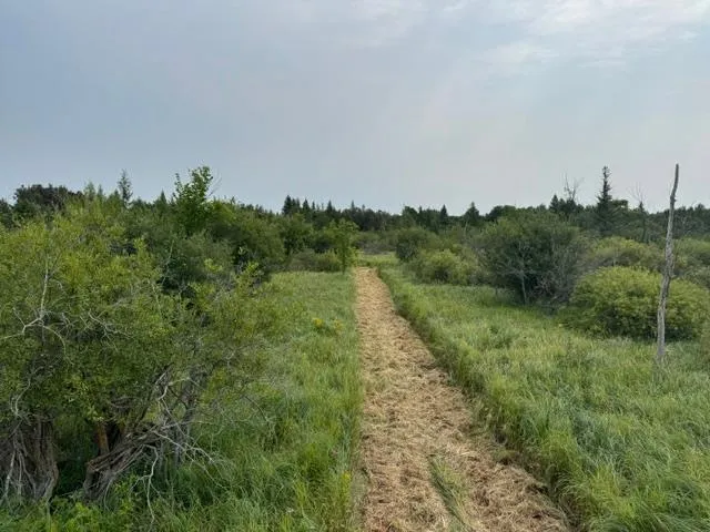 TBD 580th Street Deer Creek, MN 56527