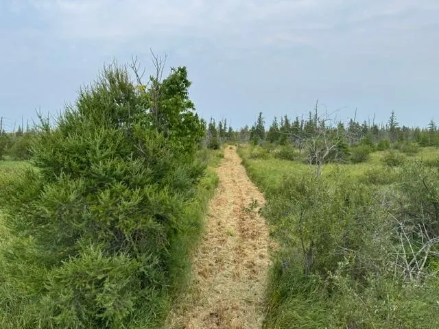 TBD 580th Street Deer Creek, MN 56527