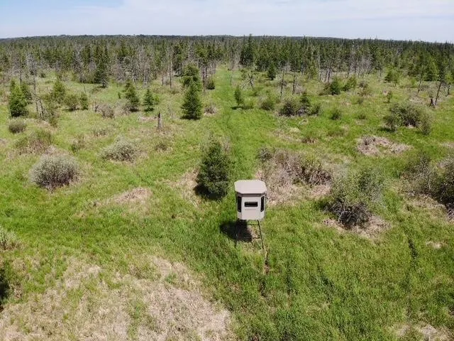 TBD 580th Street Deer Creek, MN 56527