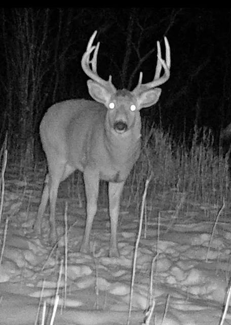 TBD 580th Street Deer Creek, MN 56527