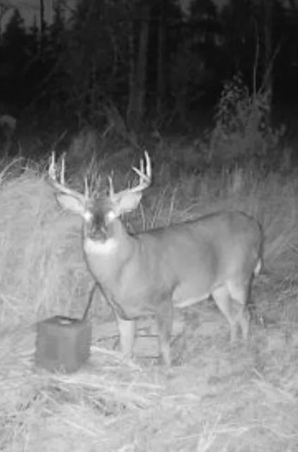 TBD 580th Street Deer Creek, MN 56527
