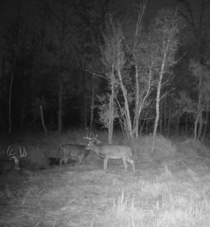 TBD 580th Street Deer Creek, MN 56527