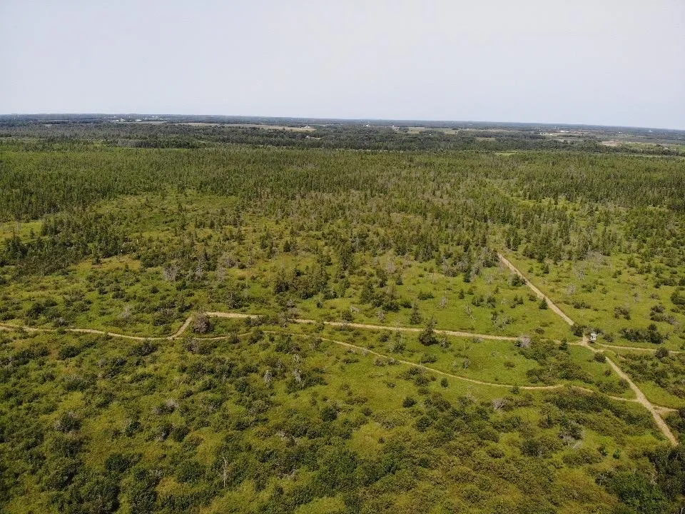TBD 580th Street Deer Creek, MN 56527