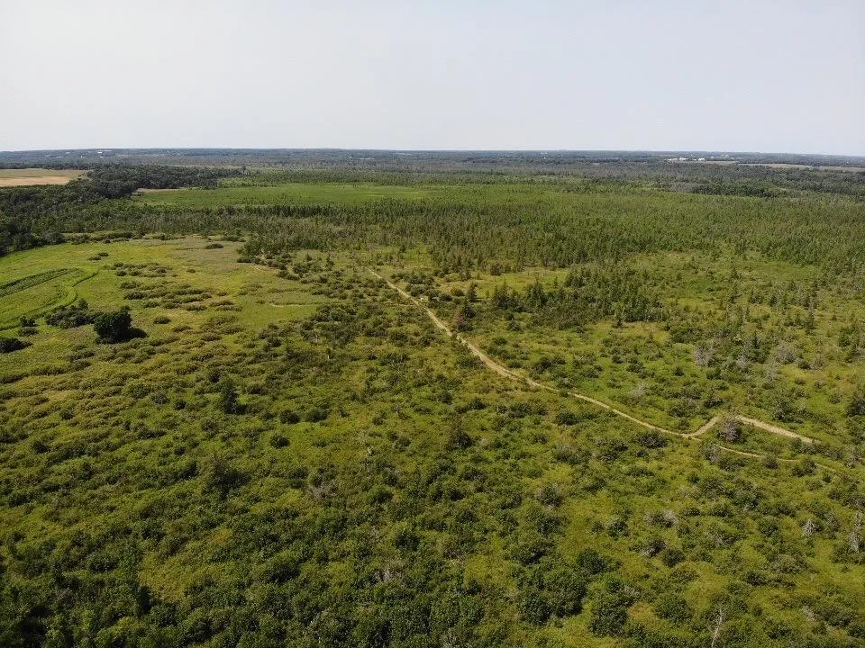 TBD 580th Street Deer Creek, MN 56527