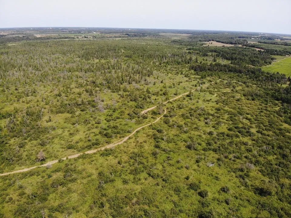 TBD 580th Street Deer Creek, MN 56527