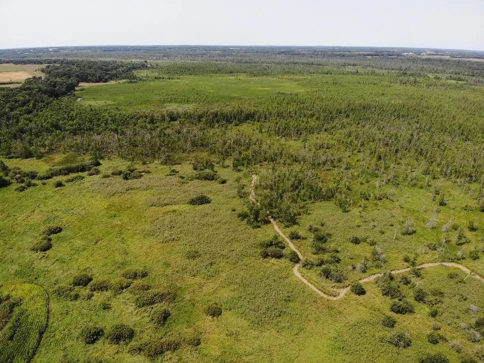 TBD 580th Street Deer Creek, MN 56527