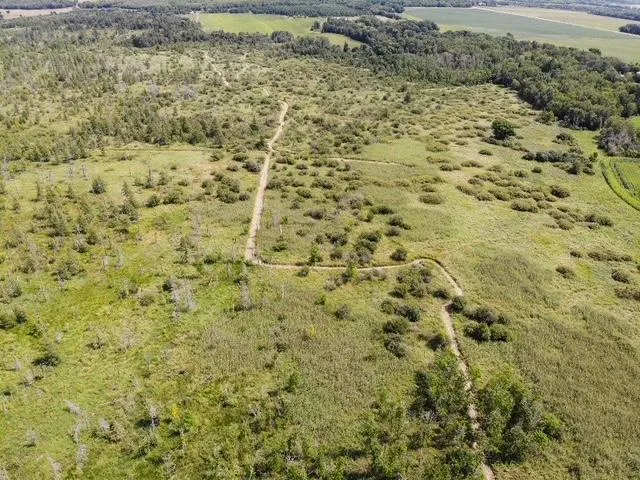 TBD 580th Street Deer Creek, MN 56527