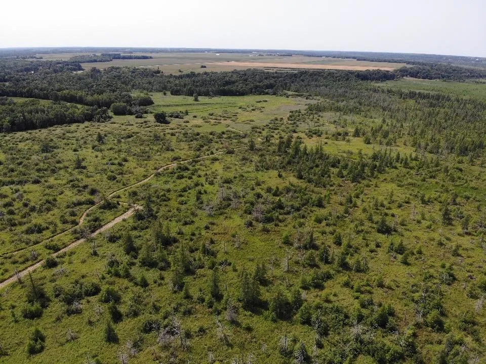TBD 580th Street Deer Creek, MN 56527