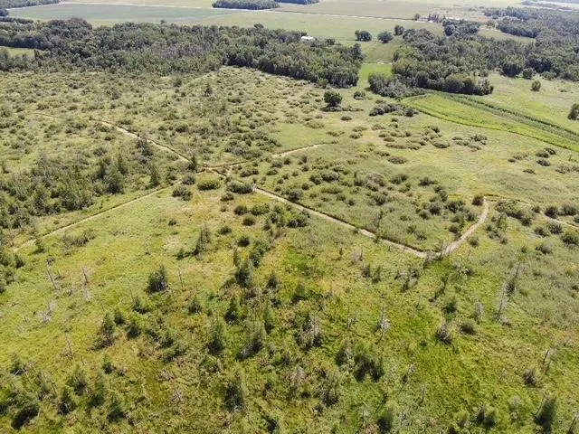 TBD 580th Street Deer Creek, MN 56527