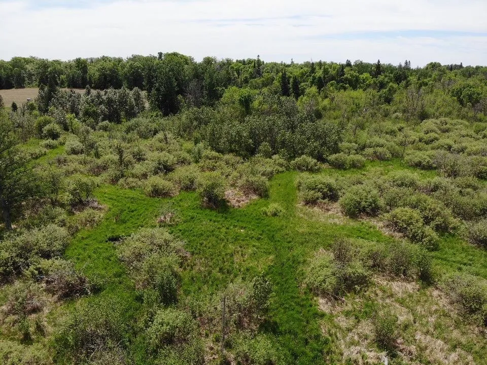TBD 580th Street Deer Creek, MN 56527