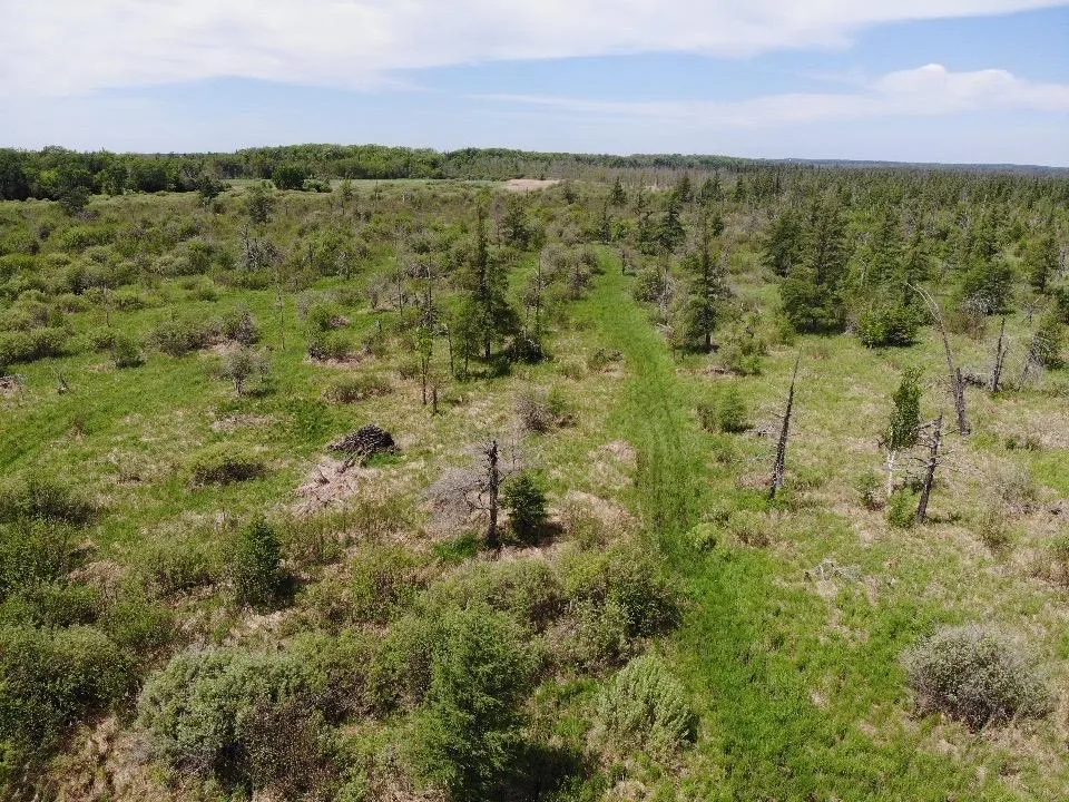 TBD 580th Street Deer Creek, MN 56527