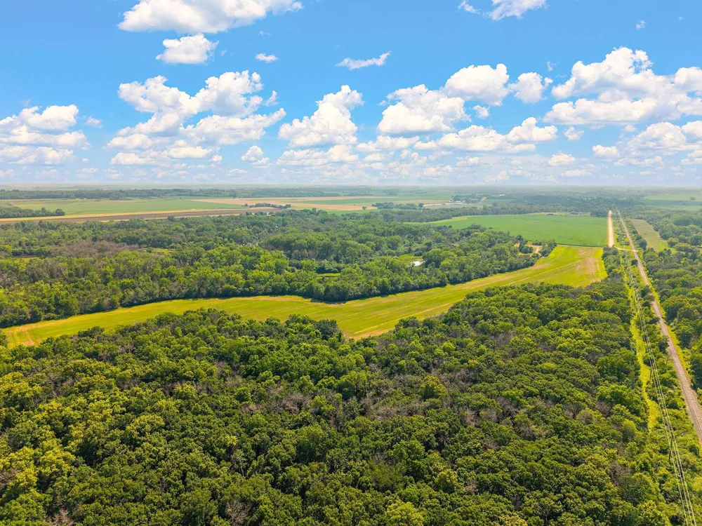 292xx Doyle Trail Randolph, MN 55065