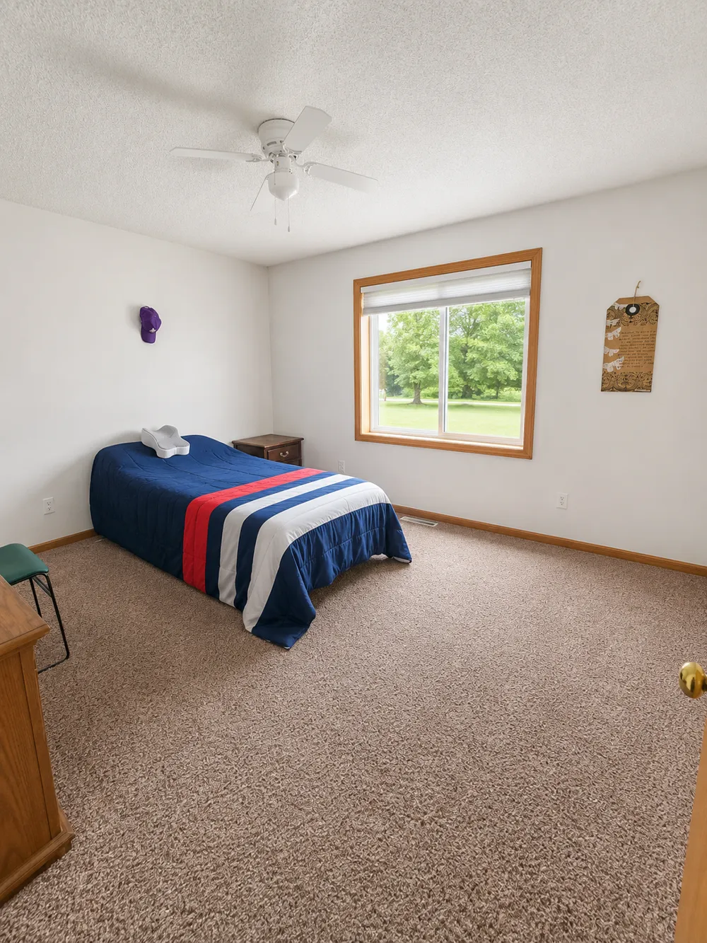 233 Pine Street Cannon Falls, MN 55009