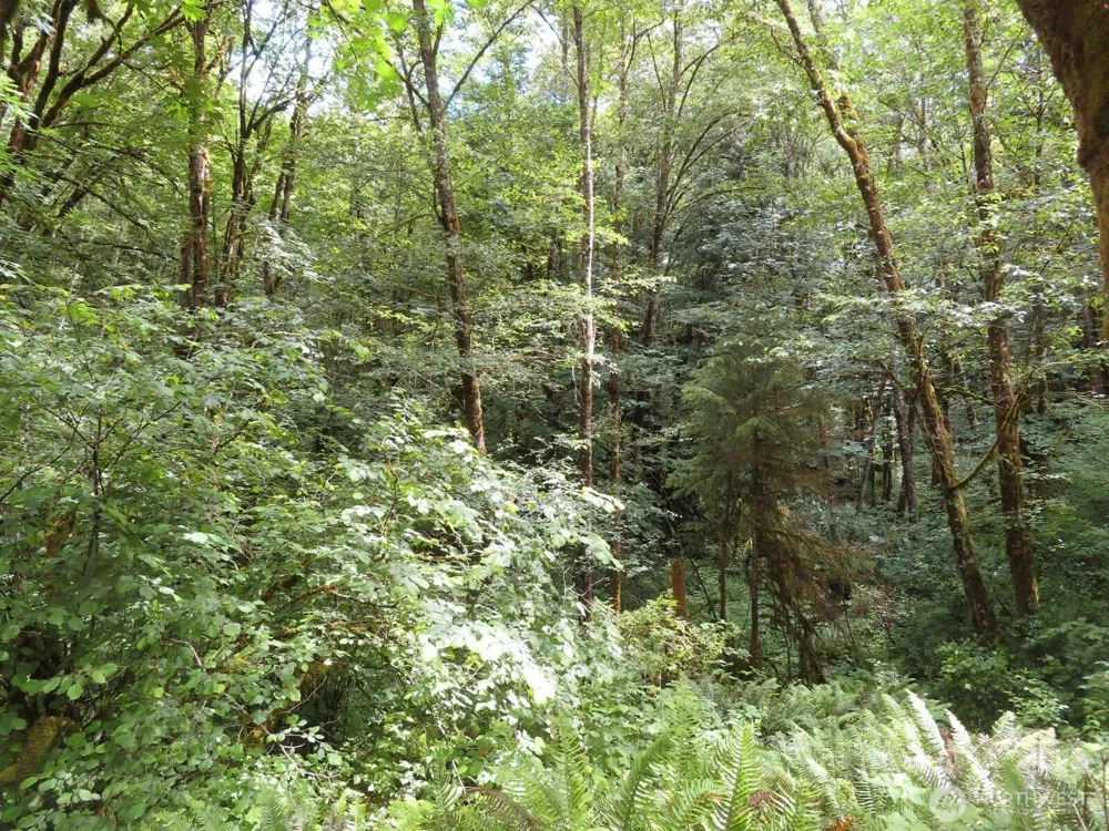 0 xxx Sylvan Way Longview, WA 98632