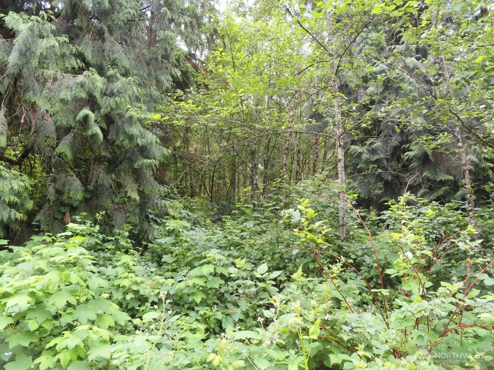 0 xxx Sylvan Way Longview, WA 98632