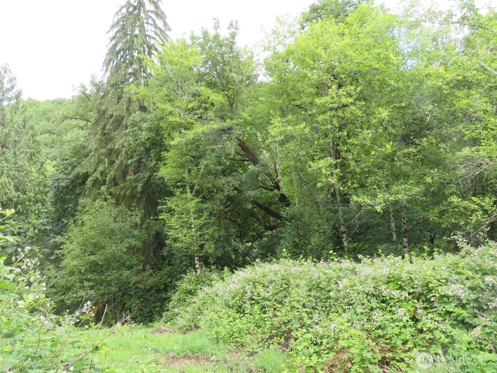 0 xxx Sylvan Way Longview, WA 98632