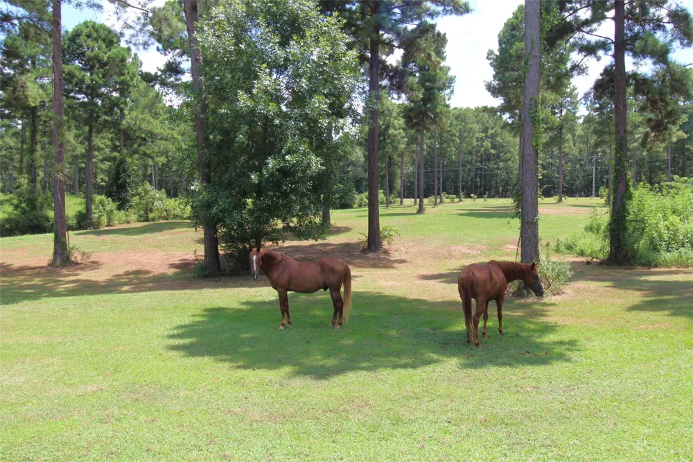 3542 Parish Line Road Doyline, LA 71023