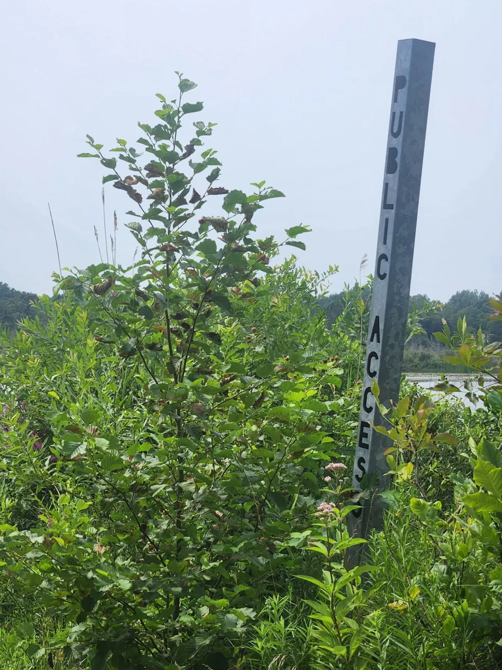 3423 Balsam Avenue Manistee Township, MI 49660