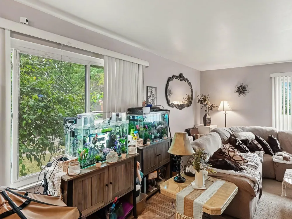 43 Butternut Court Chelsea City, MI 48118