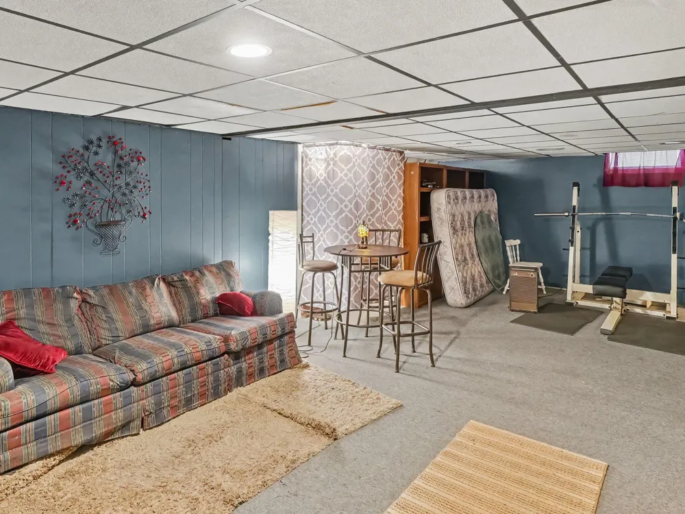 43 Butternut Court Chelsea City, MI 48118