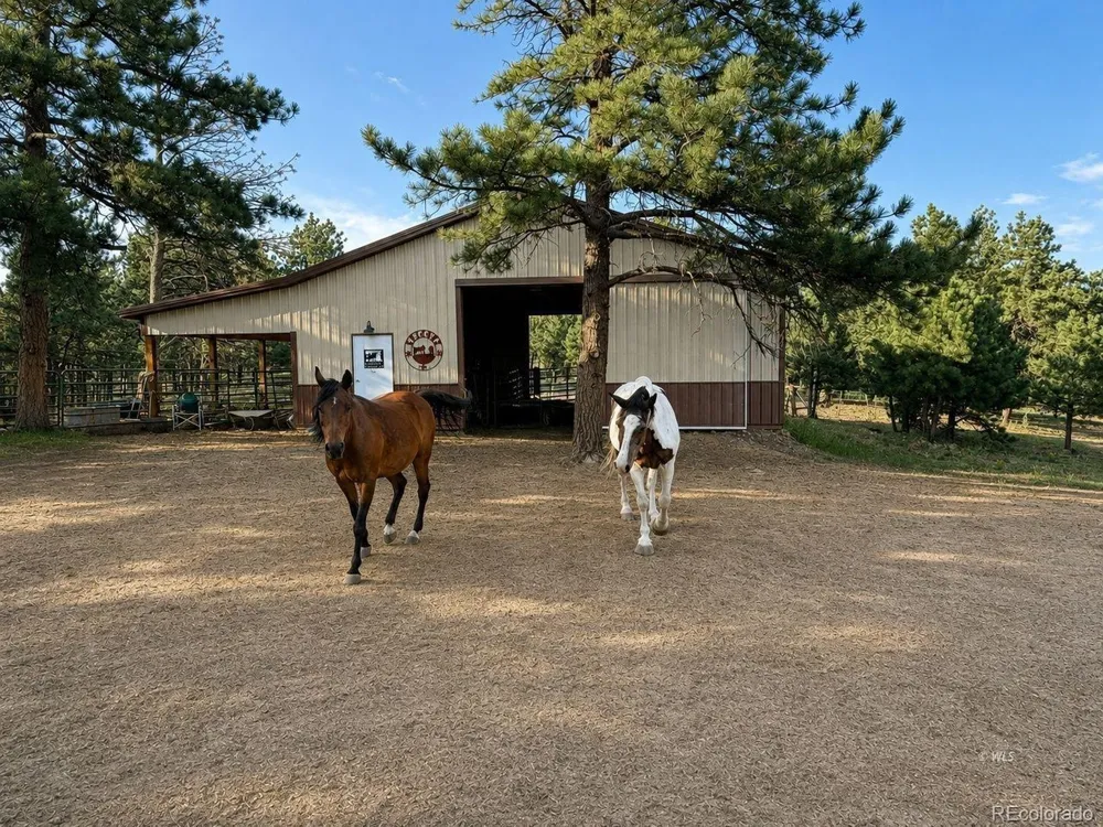 4701 County Road 323 Westcliffe, CO 81252