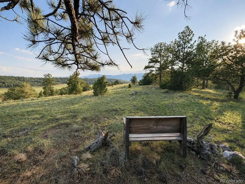 4701 County Road 323 Westcliffe, CO 81252