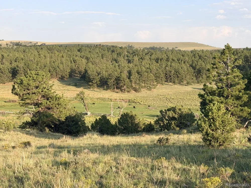 4701 County Road 323 Westcliffe, CO 81252