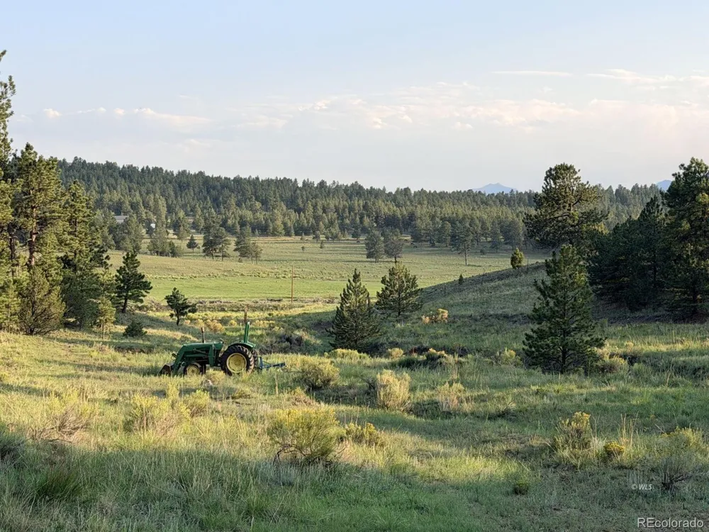 4701 County Road 323 Westcliffe, CO 81252