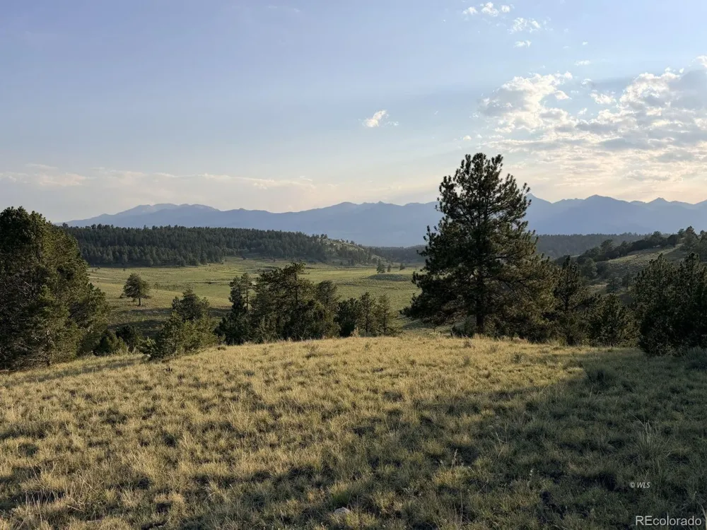 4701 County Road 323 Westcliffe, CO 81252