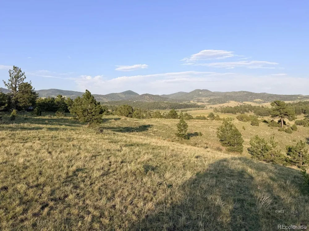 4701 County Road 323 Westcliffe, CO 81252