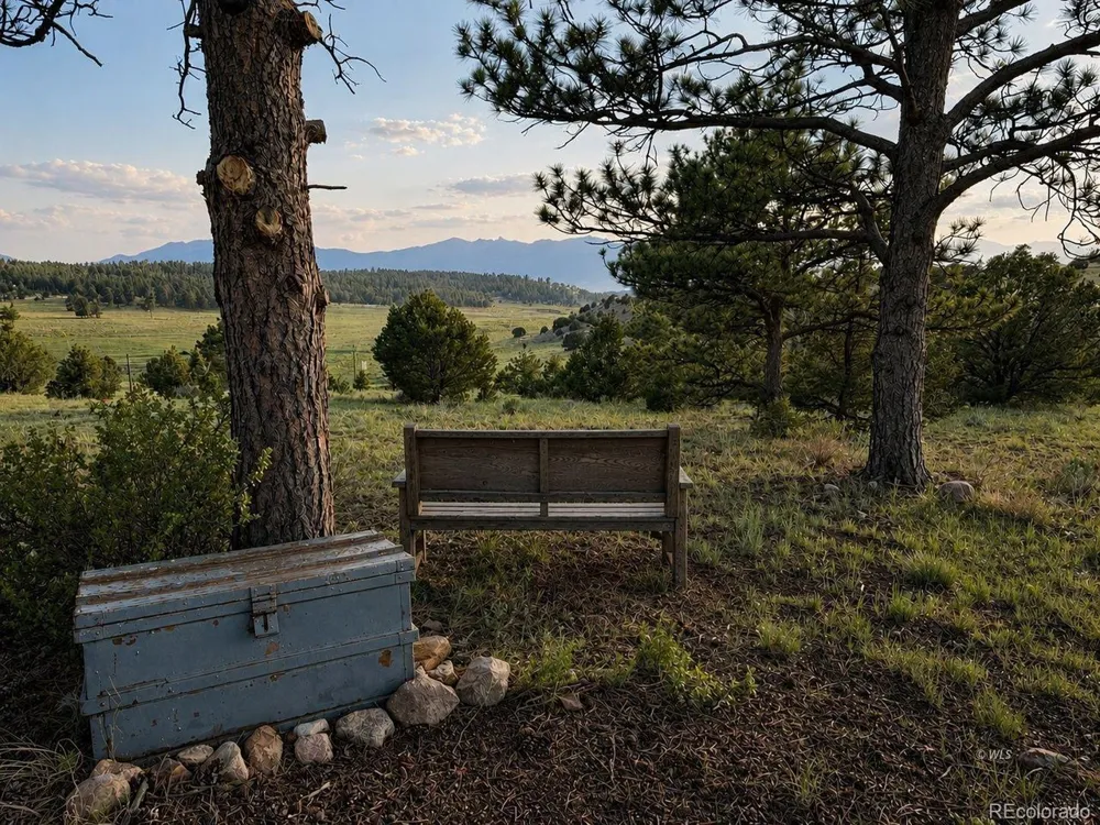 4701 County Road 323 Westcliffe, CO 81252
