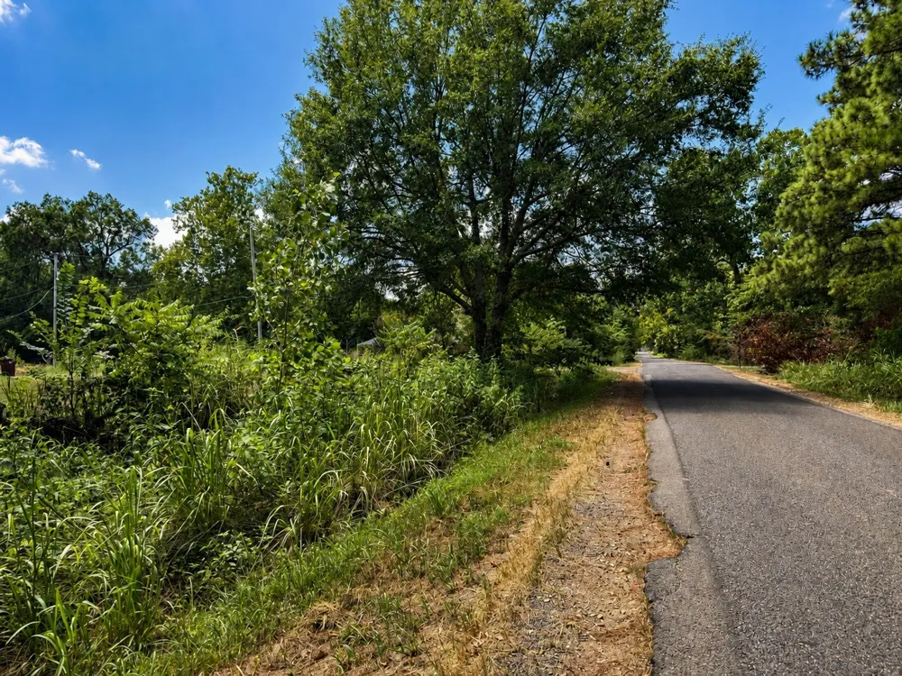 230 Hickory Street Blossom, TX 75416