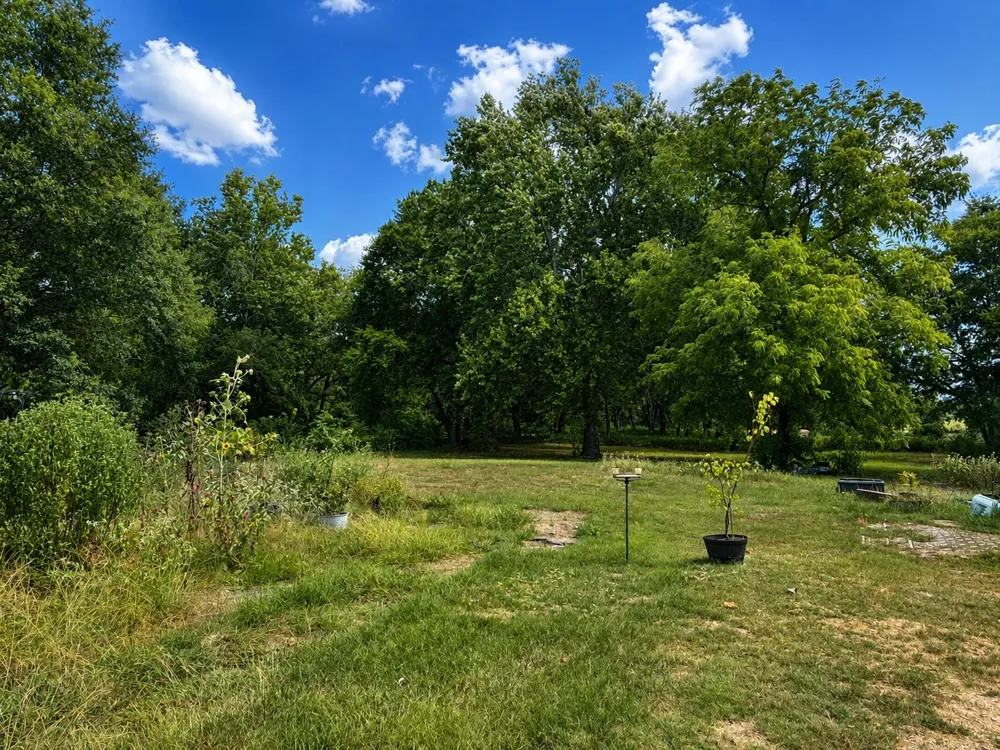 230 Hickory Street Blossom, TX 75416